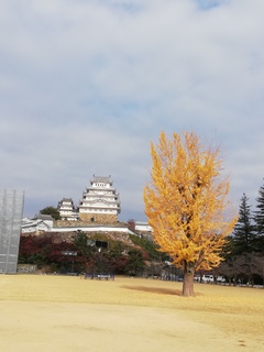 IMG_20181125_120537.jpg