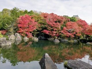 IMG_20181125_122059_2.jpg
