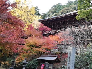 IMG_20181125_141832.jpg